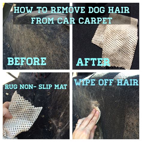 How to Get Dog Hair Out of Carpet in Car: A Comprehensive Guide to Tackling the Furry Menace