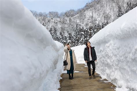 新潟 データセンター: 雪国のデジタルハブ